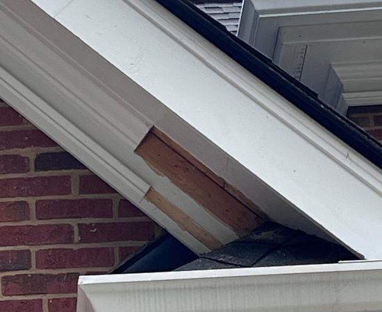 4782ce08-7686-4ca7-9244-9a35ec1c8ca2-scaled