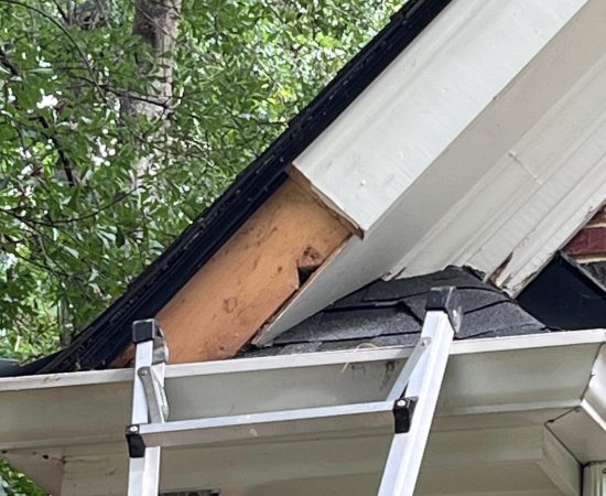 7afa9e8e-0384-48b6-9208-ce6d80f4bc89-scaled