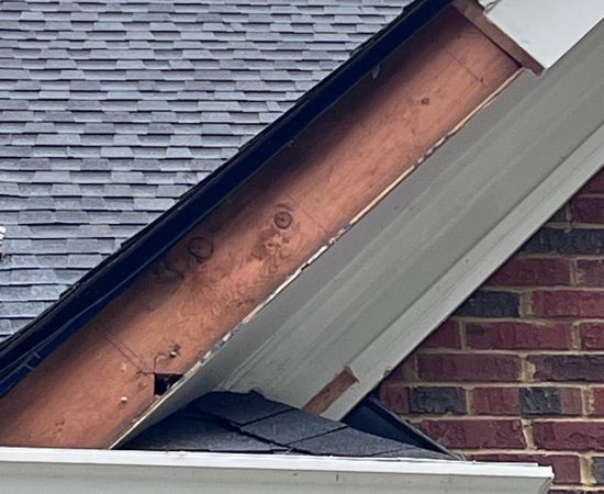 8433e1a6-bc52-413c-ac6f-b813cd3980ec-scaled