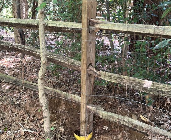 E9F52C96-F78C-4EB9-A09B-AF10DF8BAC88-scaled